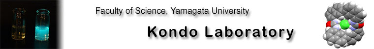 Kondo Lab Header